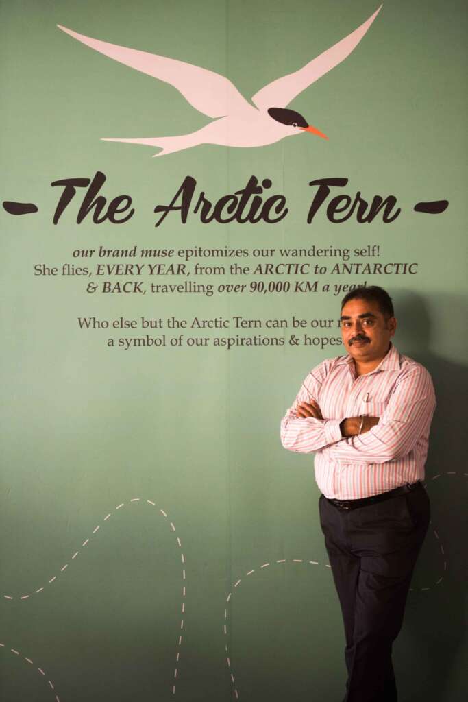 Artic Tern