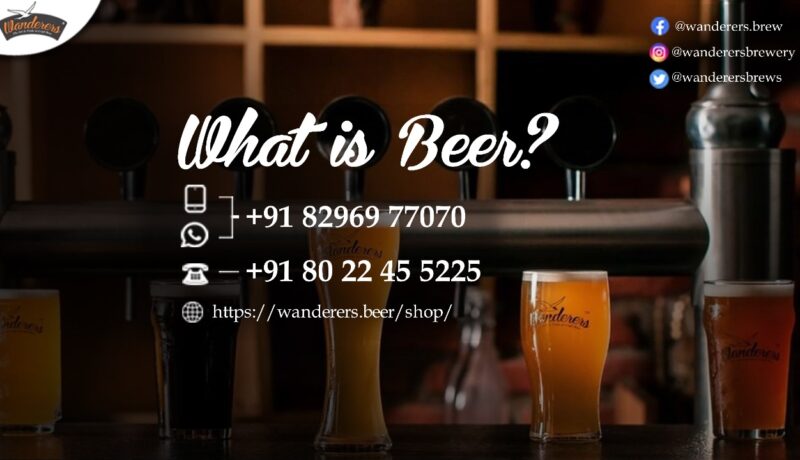 What is beer?, Wanderers Craft Brewery & Artisan Cafe , Brewery, Beer